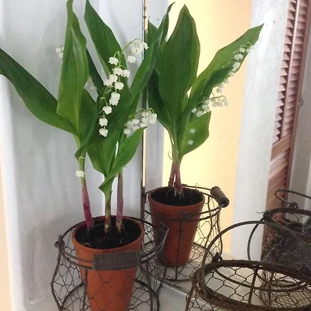 Cecil Adults Only Ξενοδοχείο 3*